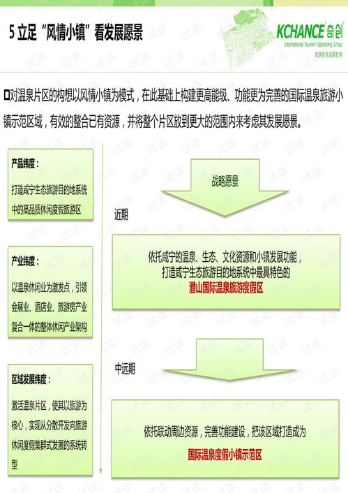 武汉三江咸宁温泉旅游项目总体策划规划